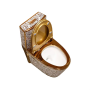 Toilet for Bathroom - Golden