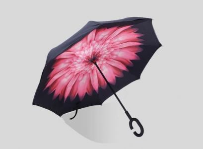 Umbrella (Desing 1)